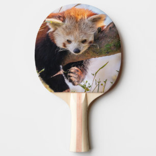 Lazy little red panda ping pong paddle