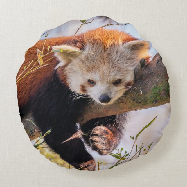 Lazy little red panda round pillow (Back)