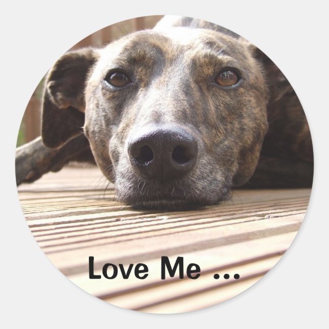 Lazy Lurcher Classic Round Sticker (Front)