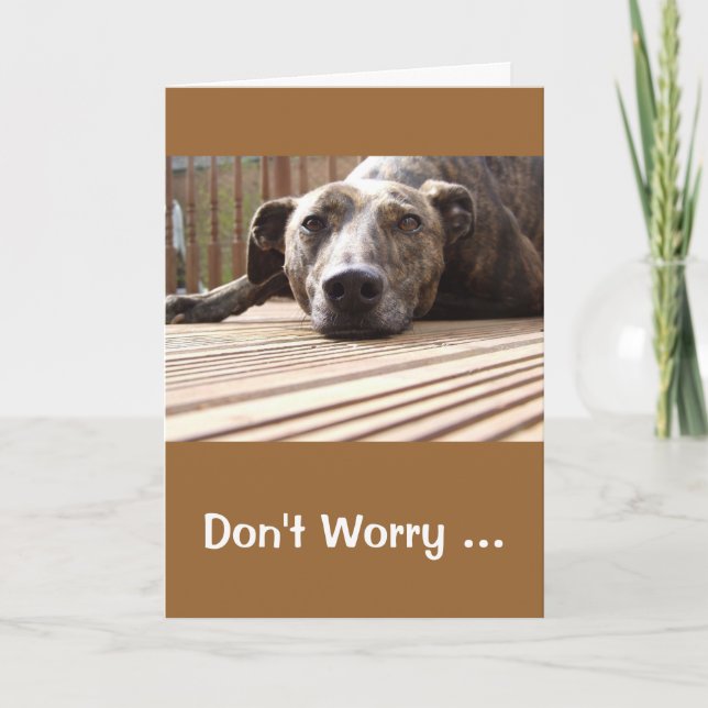 Lazy Lurcher Greetings Card (Front)