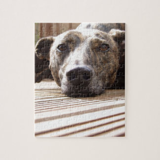 Lazy Lurcher Jigsaw Puzzle