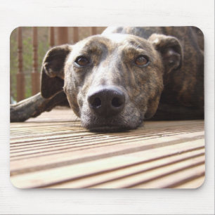 Lazy Lurcher Mouse Pad