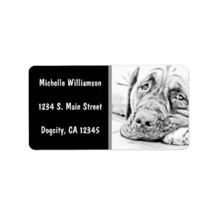 Lazy Mastiff Label