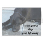 Lazy Midnight Veut Juste Snooze