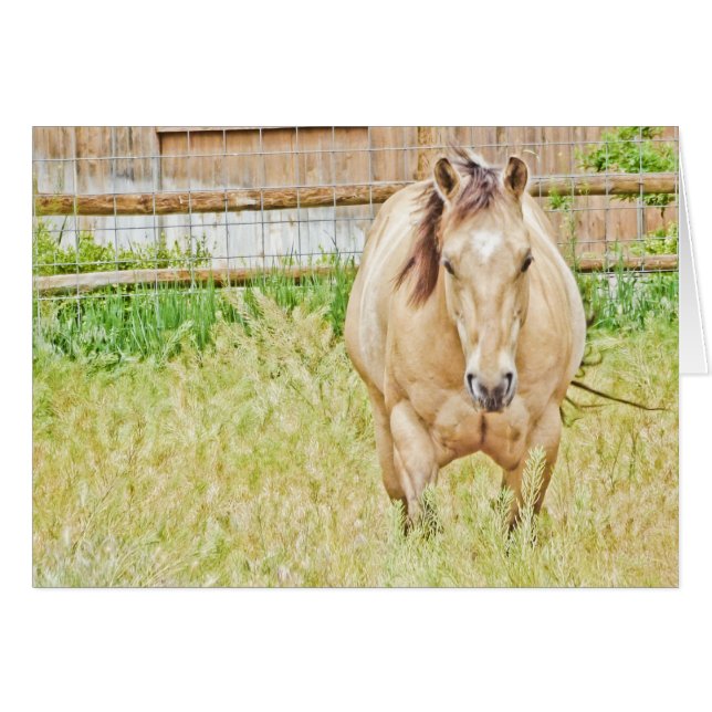 Lazy Morning (Devant Horizontal)