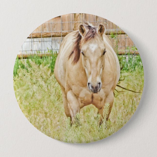 Lazy Morning 4 Inch Round Button (Front)