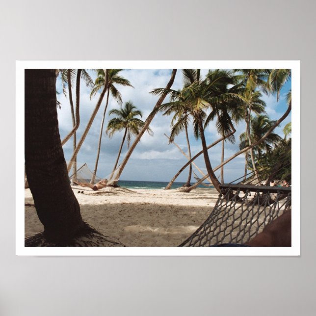 Lazy Palm Tree Days Poster (Front)