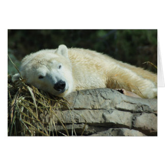 Lazy Polar Bear Blank Card