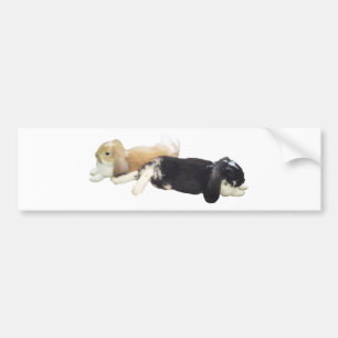 Lazy Rabbits - Bunnies Cute Sleepy Tired Weekend Bumper Sticker
