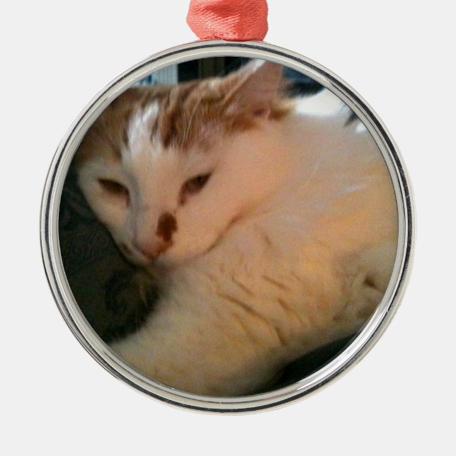 Lazy, Relaxed Cat Metal Ornament (Front)