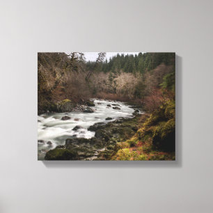 Lazy River Canvas Print