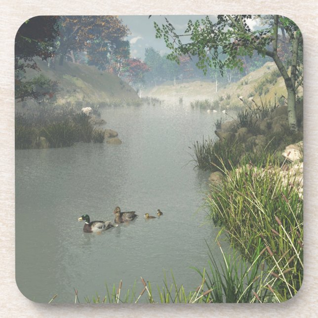 Lazy River Coaster (Front)