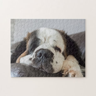 Lazy Saint Bernard dog Jigsaw Puzzle