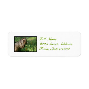 Lazy Sloth Mailing Labels