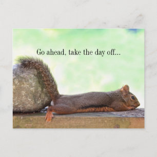Lazy Squirrel Postcard
