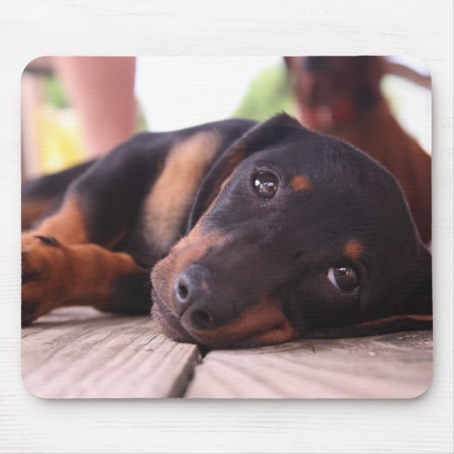Lazy Summer Day Mouse Pad (Front)