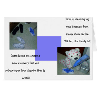 Lazy Teddy Nettoyage d'ours