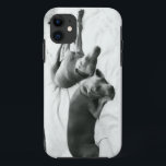 Lazy Weimaraners iPhone 11 Case<br><div class="desc">If you've ever loved a Weim,  you don't need any explanation... </div>