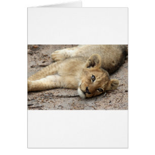 Lazylion