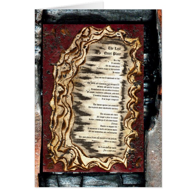 L'Dernier Endroit Calme (Devant)