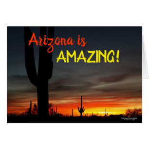 Le "Arizona est extraordinaire !" Cactus de désert