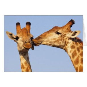 Le baiser