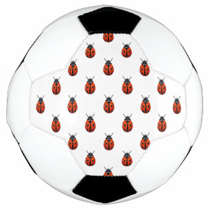 Le ballon de foot de Ladybugs