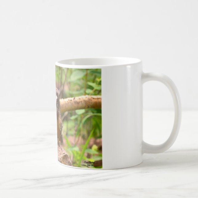 Le bébé a vu pour affûter la tasse de hiboux (Droite)