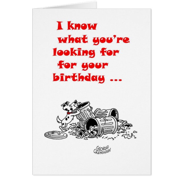 Le Belvédère Dans Les Poubelles (Devant)