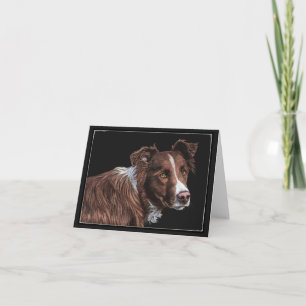 "Le Berger" - Carte Border Collie