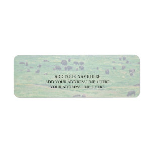 Le bison américain
