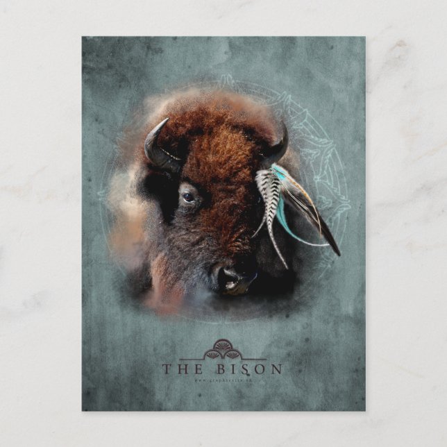 Le bison - Carte postale (Devant)