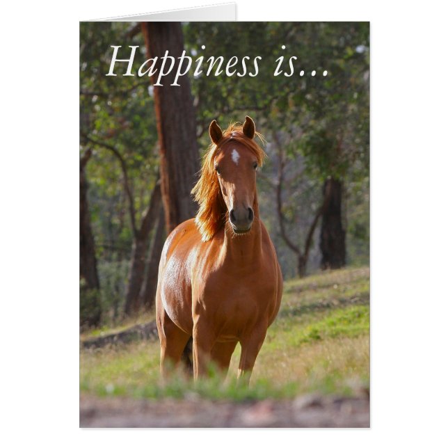 Le bonheur passe le temps avec votre cheval (Devant)