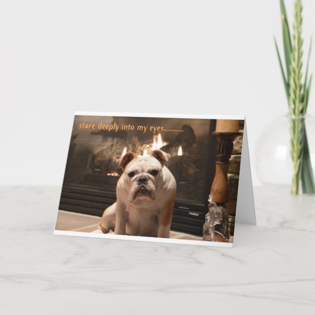 Le bouledogue obtiennent la carte bonne (Devant)