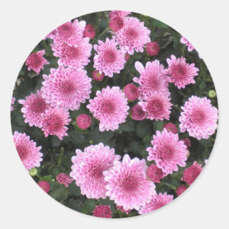 Le bouquet de la nature : Autocollant de ressort