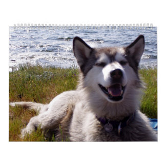 Le calendrier 2007 de Quinn