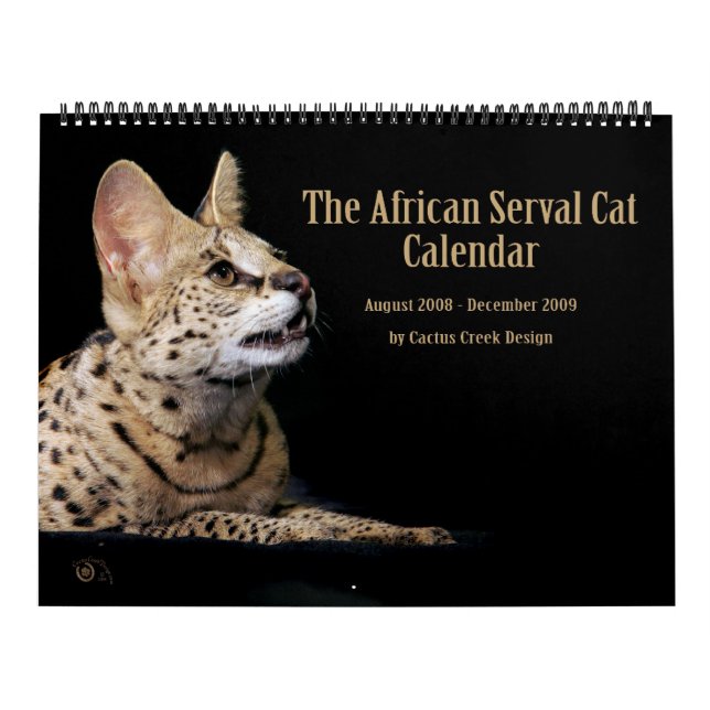Le calendrier africain de chat de Serval (Protection)
