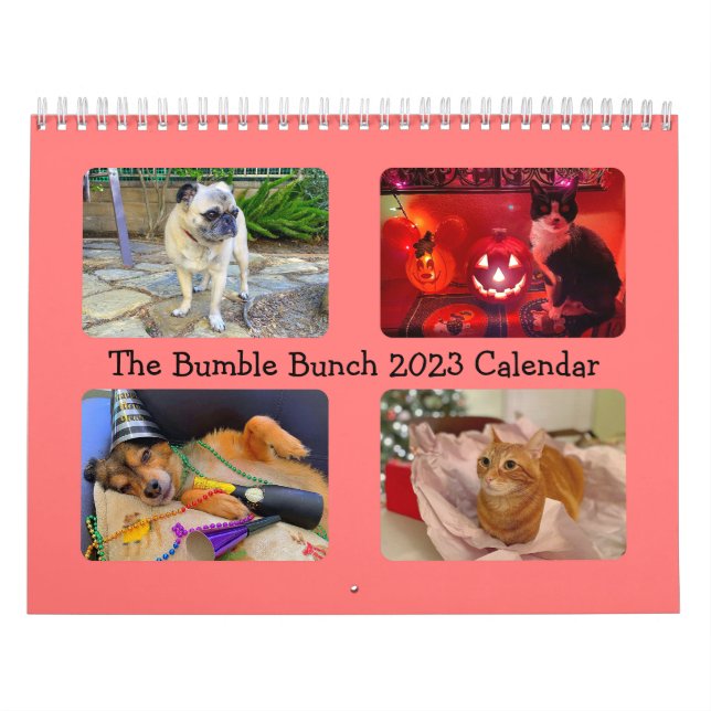 Le calendrier Bumble Bunch 2023 (Protection)