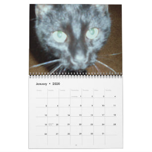 LE calendrier CHAT NOIR