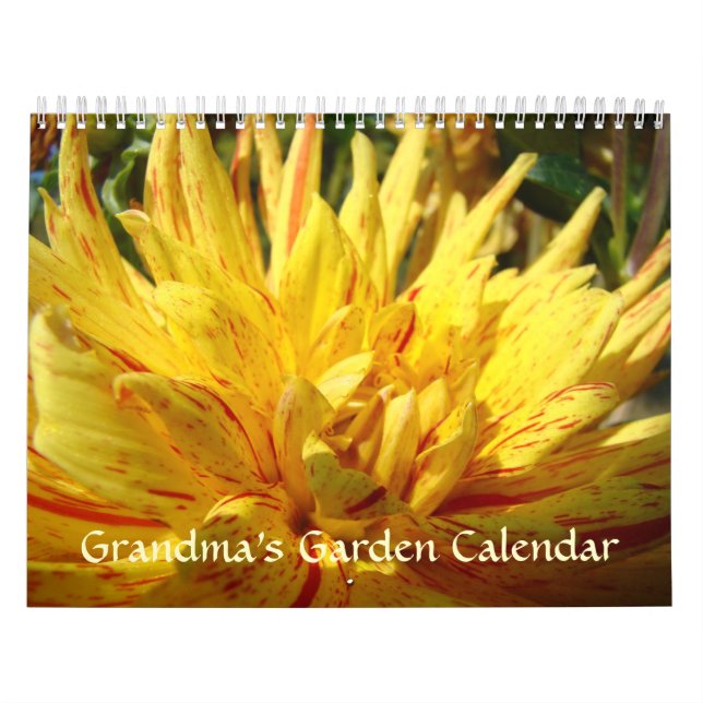 LE CALENDRIER DAHLIAS FLEURS Jardin de la grand-mè (Protection)