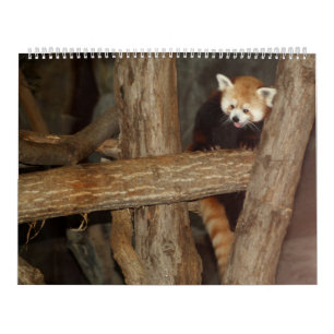 Le calendrier de la photo de faune