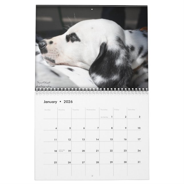 Le calendrier de la photographie 2012 de SpotShot (Jan 2026)