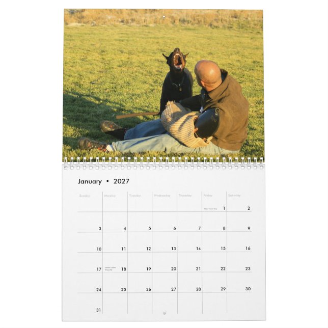 Le calendrier de protection de dobermann a mis à (Jan 2027)