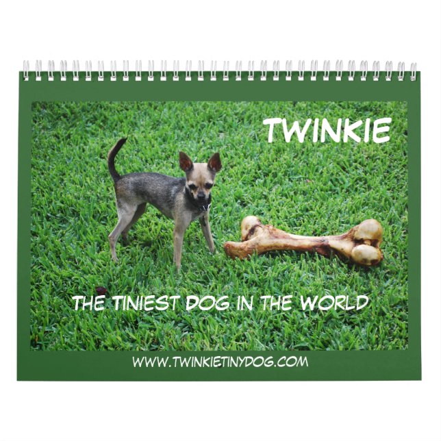 LE CALENDRIER DE TWINKIE (Protection)