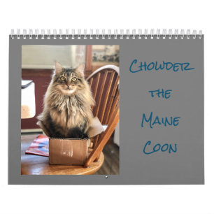Le calendrier des cônes du Maine