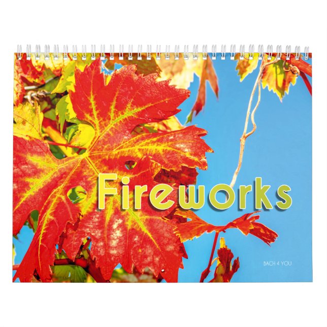 Le Calendrier des Murs À Vins - Feu d'artifice. (Protection)