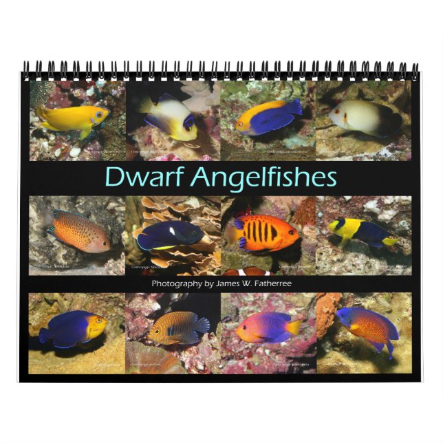 Le calendrier des Murs des Anges nains par J.W. Pa (Protection)