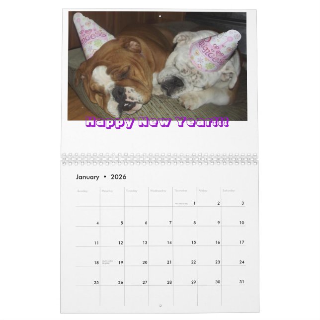 Le calendrier des soeurs 2013 de despote (Jan 2026)