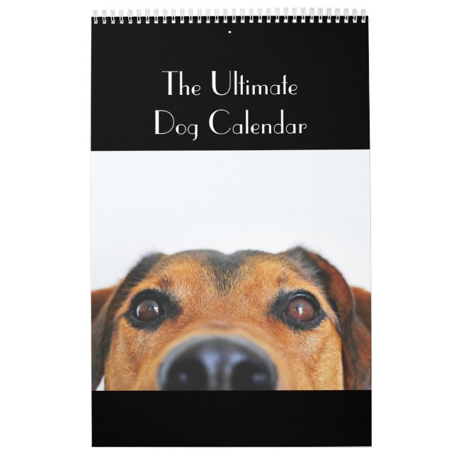 Le calendrier final de chien (Protection)