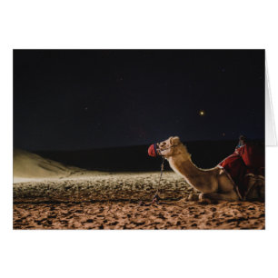 Le Camel Qui Vit Dans Le Ciel De Minuit